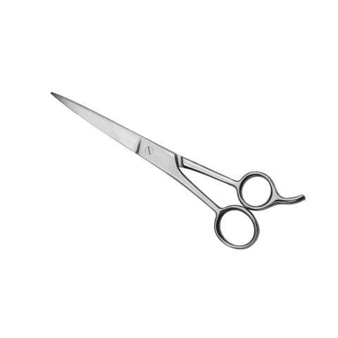 Barber Scissors