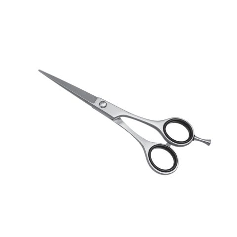 Barber Scissors