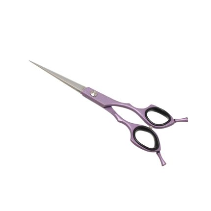 Pet Scissors