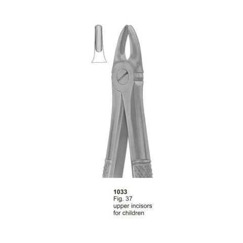 Upper Incisors for Childern