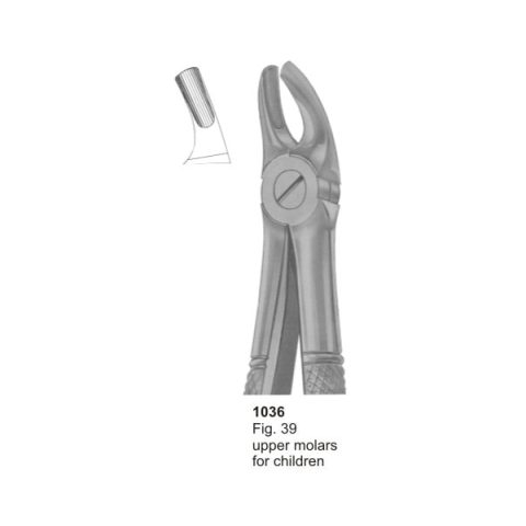 Upper Molars for Children