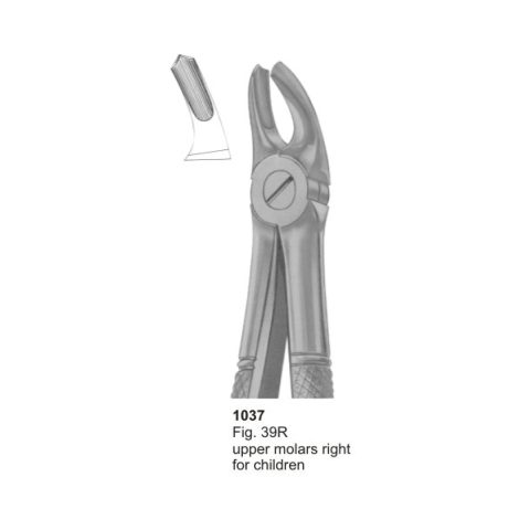 Upper Molars Right for Children