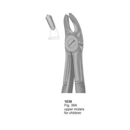 Upper Molars for Children