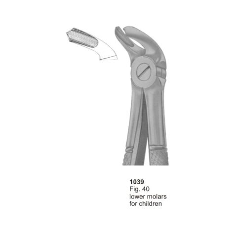 Lower Molars for Children