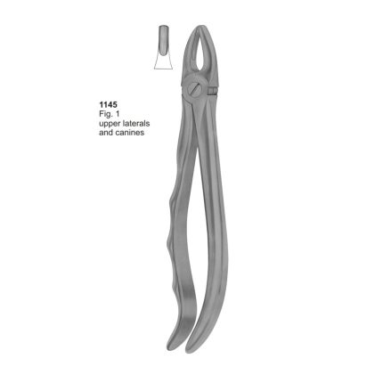 Upper Laterals and Canines