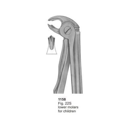 Lower molars For Childern