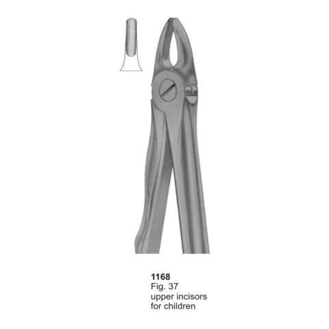 Upper Incisors for Childern