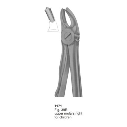 Upper Molars Right for Children