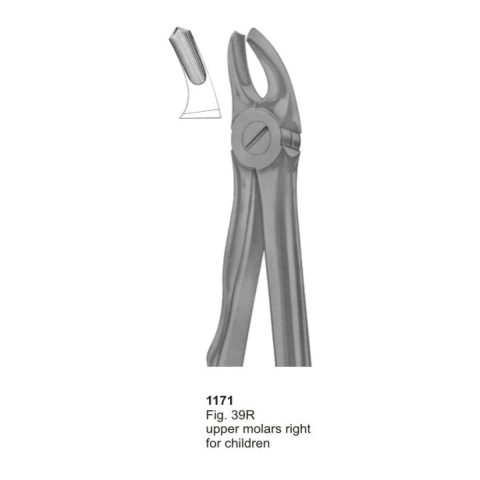 Upper Molars Right for Children