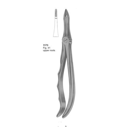 Upper Roots