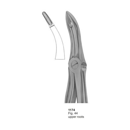 Upper Roots