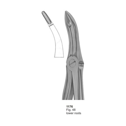 Lower Roots