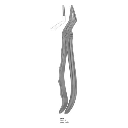 Upper Roots