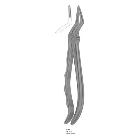 Upper Roots
