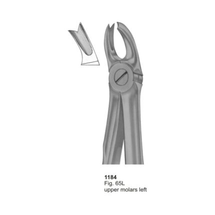 Upper Molars Left