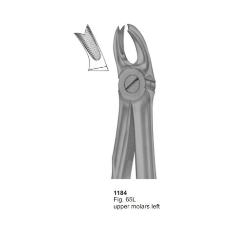 Upper Molars Left
