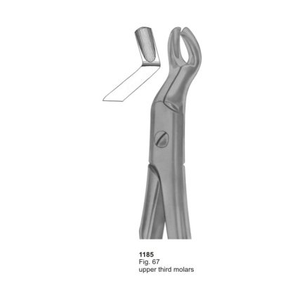 Upper Third Molars
