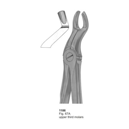 Upper Third Molars