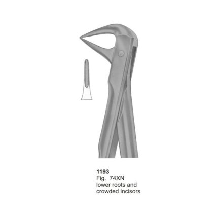 Lower Roots and Crowded Incisors