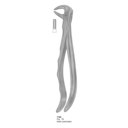 Lower Premolars