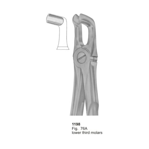 Lower Third Molars