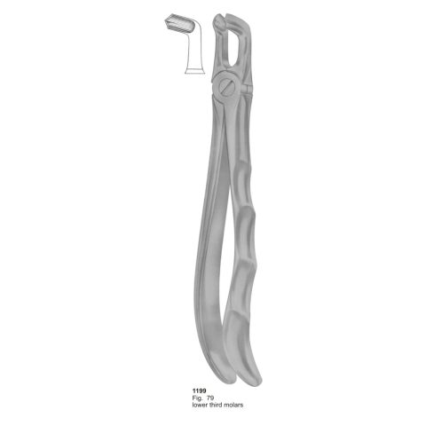 Lower Third Molars