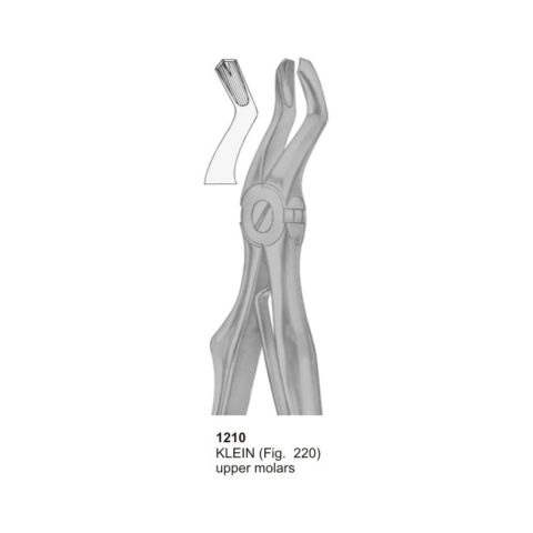 KELIN, Upper Molars
