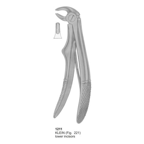 KELIN, Lower Incisors