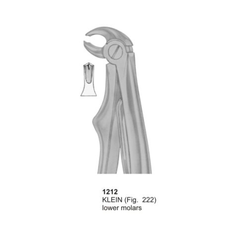 KELIN, Lower Molars
