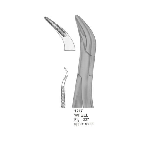 WITZE, Upper Roots