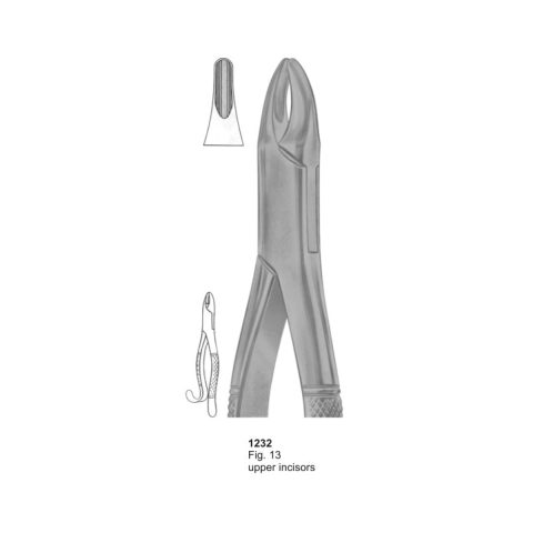 Upper Incisors