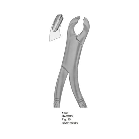HARRIS, Lower Molars