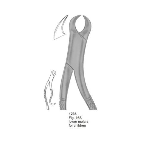 Lower Molars for Children