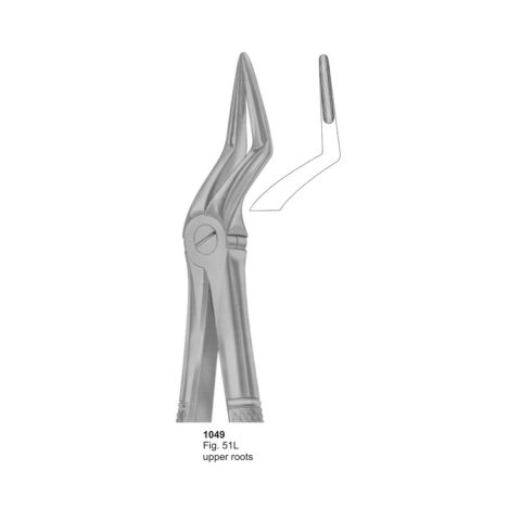 Upper Roots