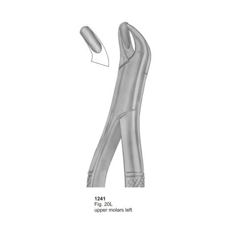Upper Molars Left