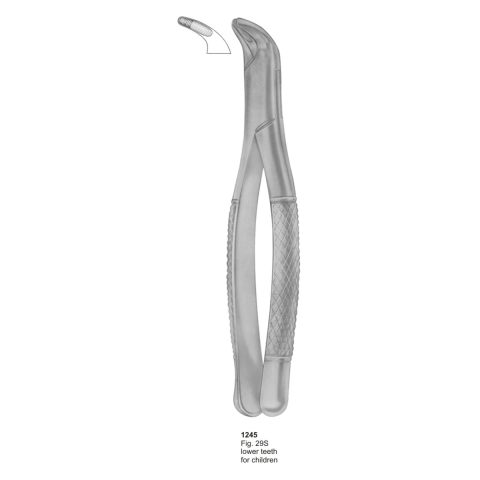 Lower Teeth For Children