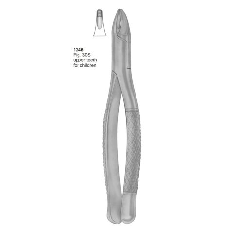 Upper Teeth For Children