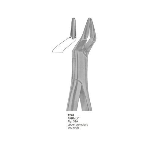 PARMLY, Upper Premolars and Roots