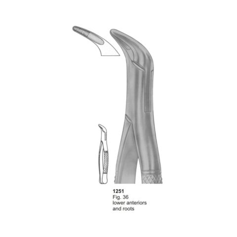 Lower Anteriors and Roots