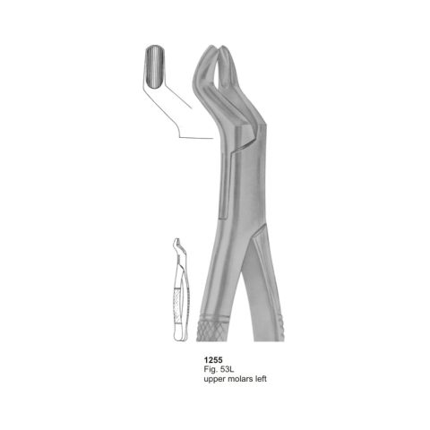 Upper Molars Left