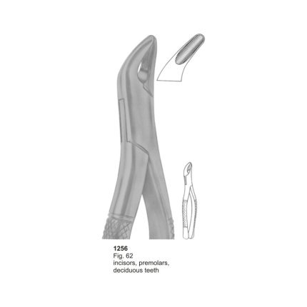 Incisors, Premolars Deciduous Teeth