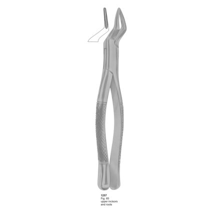 Upper Incisors and Roots