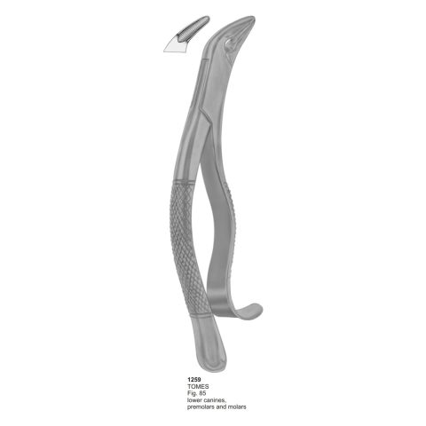 TOMES, Lower Canines, Premolars and Molars