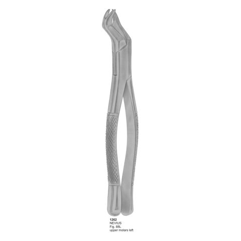 NEVIUS, Upper Molars Left