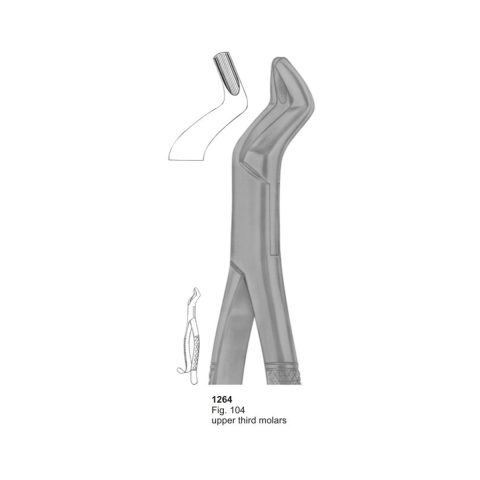 Upper Third Molars