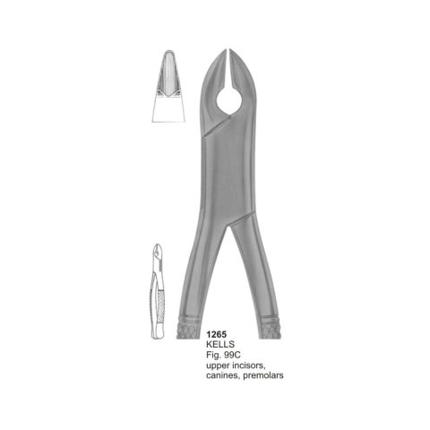 KELLS, Upper Incisors, Canines, Premolars