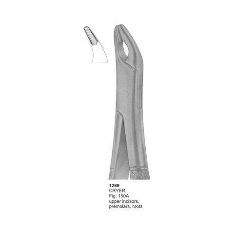 CRYER, Upper Incisors, Premolars, Roots