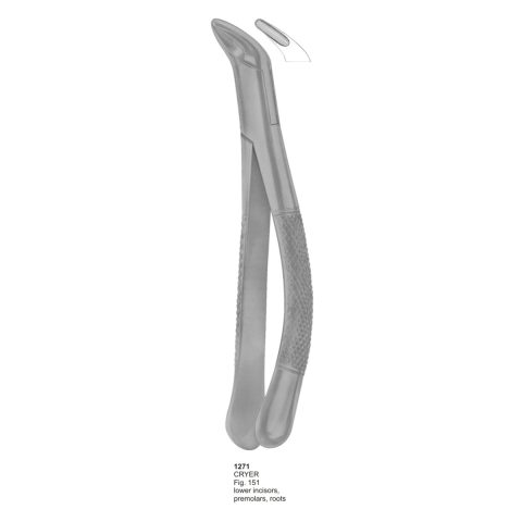 CRYER, Lower Incisors, Premolars, Roots