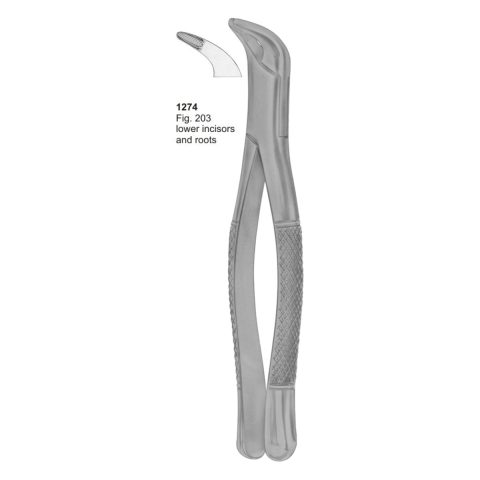 Lower Incisors and Roots