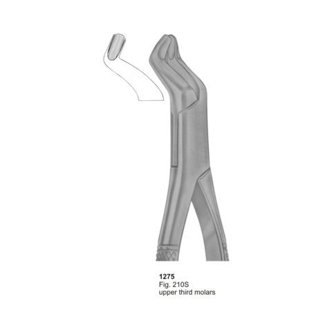 Upper Third Molars